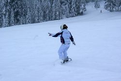 Alta Val Badia (146), Chiara R (43), Famiglia (61), Sci Alpino (290)